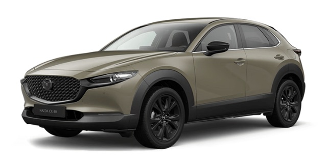 CX-30 (SUV)